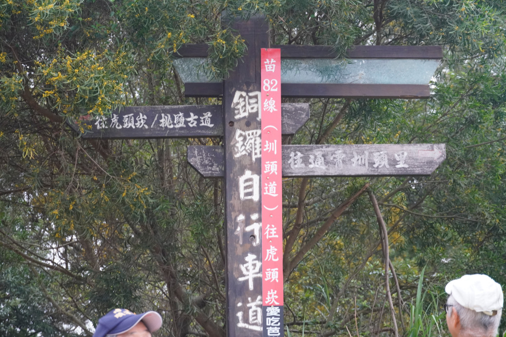 1130505親子活動-銅鑼賞桐花步道