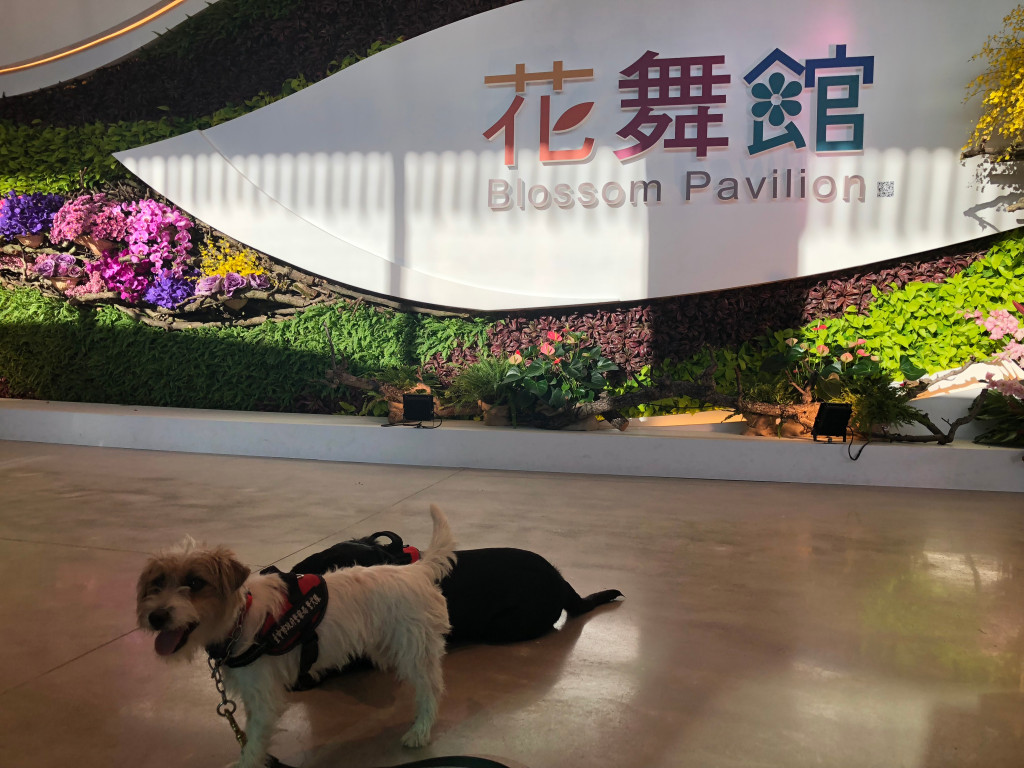1071020花博后里花舞館值勤相片-后里花舞館